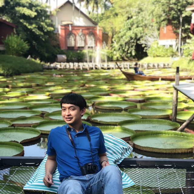 คาเฟ่ ที่มี ใบบัว สวยมาก 