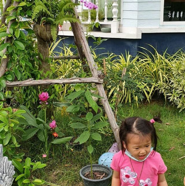 🏝ทานข้าว🥧ขนมเค้ก🍰 เครื่องดื่ม☕บรรยากาศร่องสวน