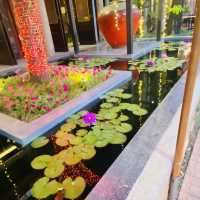 บรรยากาศตอนเย็นใจกลางเชียงใหม่