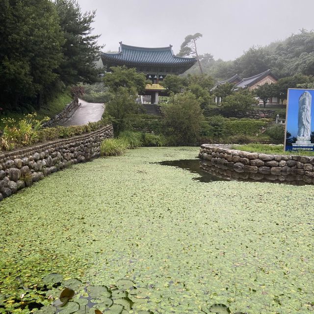 바다가 보이는 절, 낙산사🪷🌊