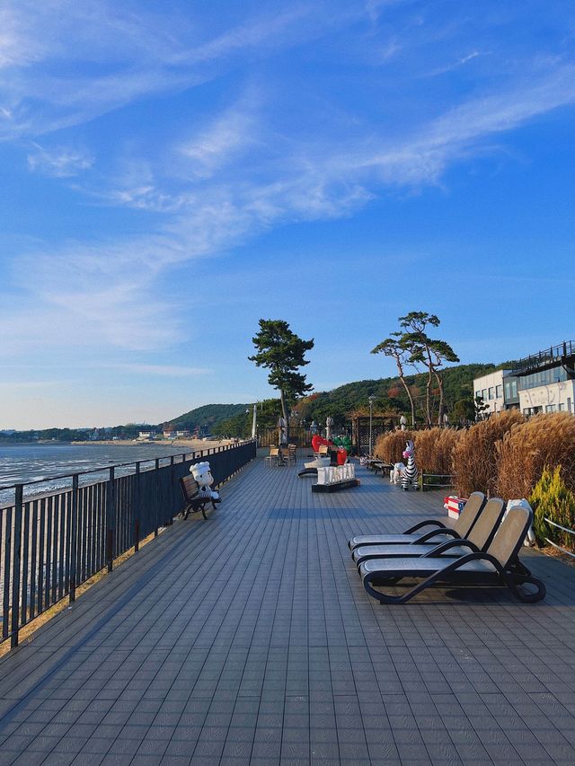 마시안해변 오션뷰 카페 💙 마시안제빵소