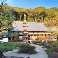 興聖寺　