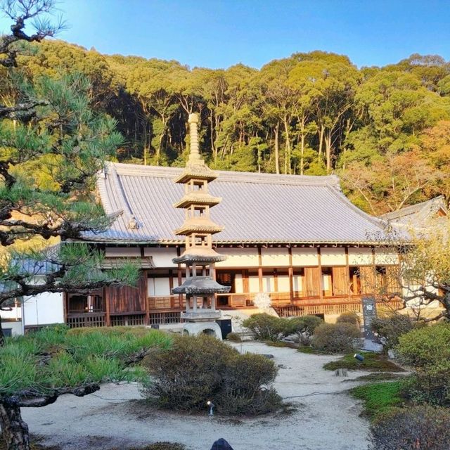 興聖寺　