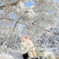 곤도라타고 쉽게 만나볼 수 있는 겨울왕국❄️