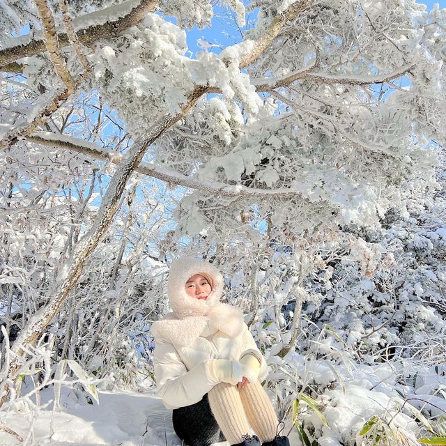 곤도라타고 쉽게 만나볼 수 있는 겨울왕국❄️