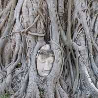 Day Trip To Ayutthaya 