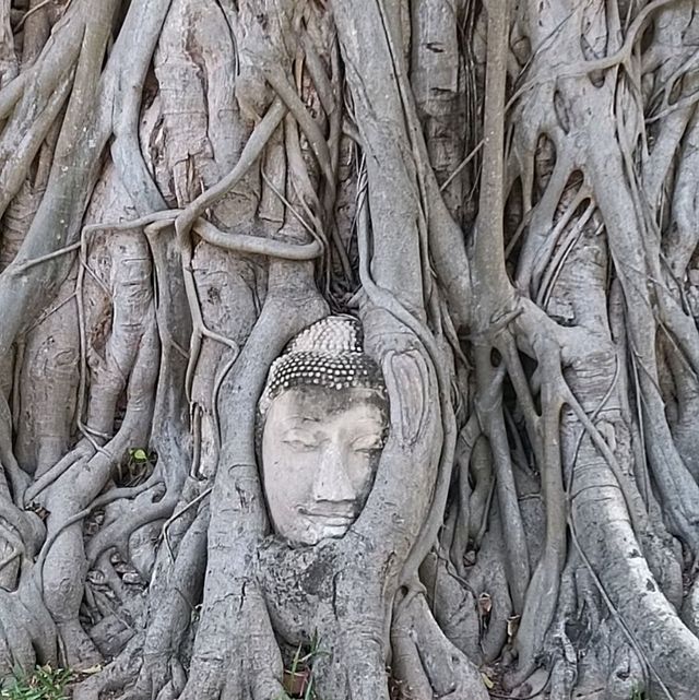 Day Trip To Ayutthaya 