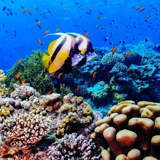 Rubiah Island, Aceh