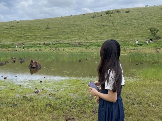 흐린날의 금오름🌿