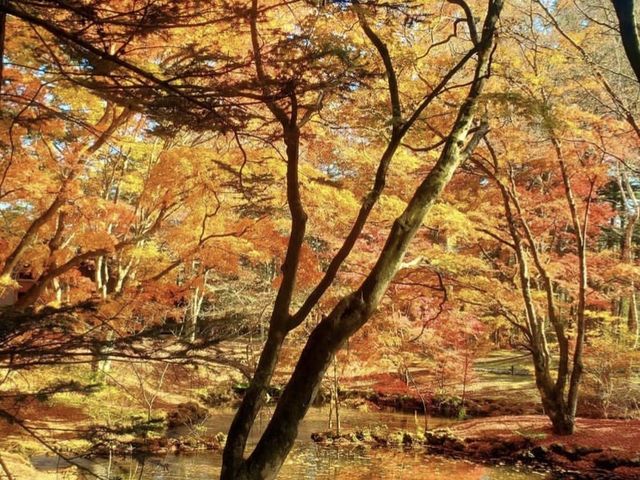 【軽井沢】軽井沢を代表するスポット