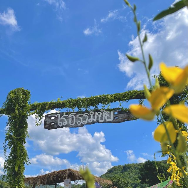 ไปเที่ยวทุ่งดอกปอเทือง ที่สวยที่สุดในประเทศไทย ❤️