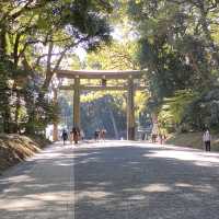 紅葉の明治神宮参道