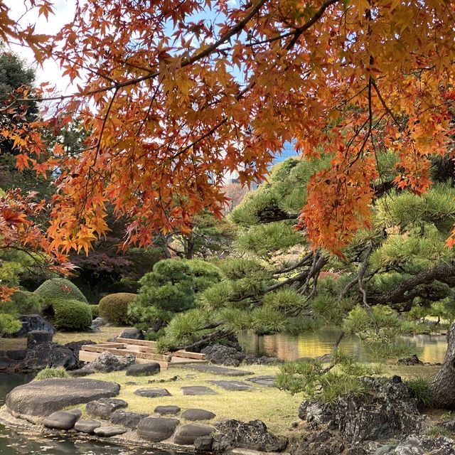 紅葉の新宿御苑・日本庭園