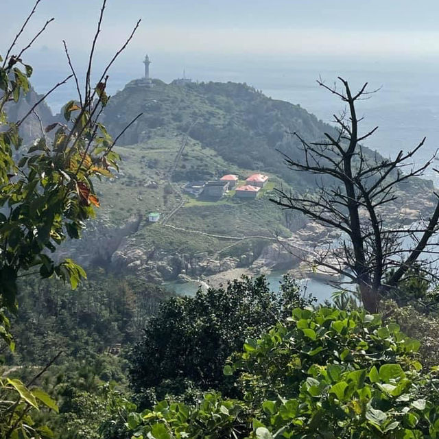 [남쪽의 작고 귀여운 섬 🏝]