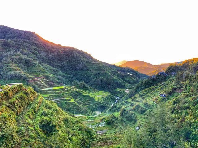 Banaue Rice Terraces… WOW!!!!!