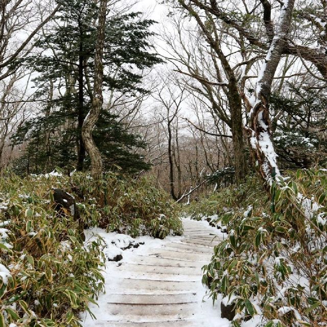 겨울 등산코스 추천 '한라산'
