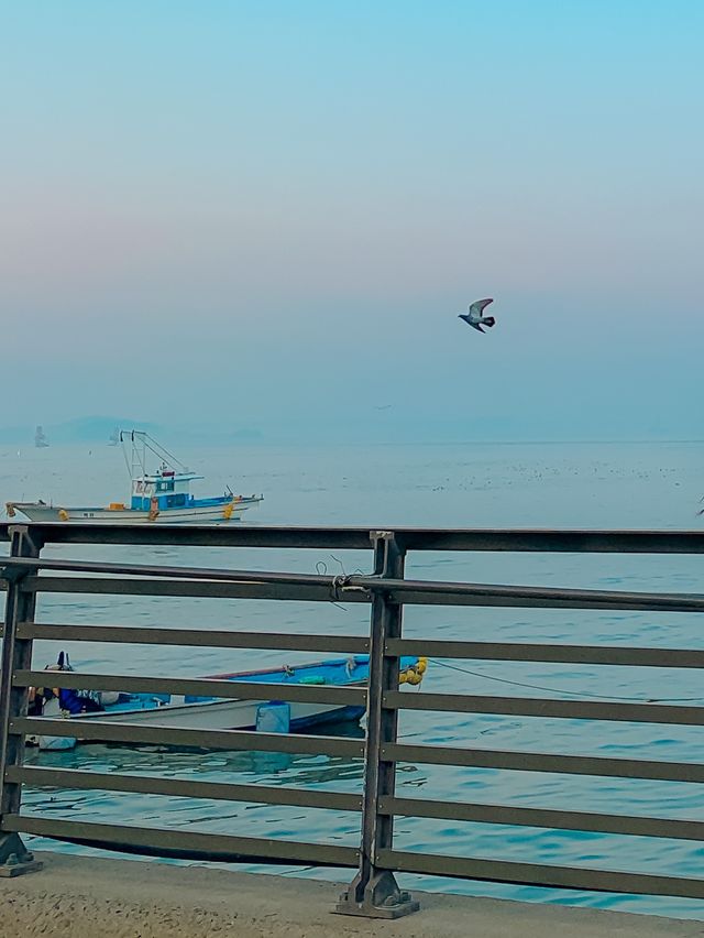 [인천] 영종도에서 핫한 카페, 카페 온화☕️