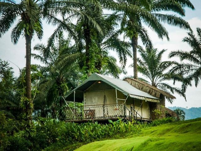 ที่พักติดริมเขา มีหมอกเกือบทั้งปี