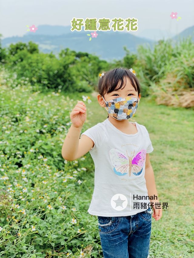 海鮮+放風箏