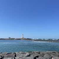 제주 핫한 봄 여행 코스 ‘싱계물공원’ 