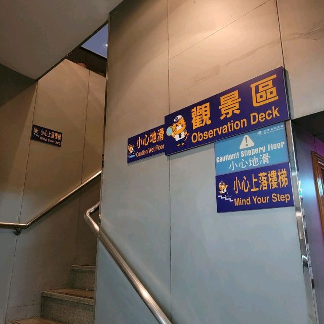 洋紫荊維港遊⛴️自助餐+開篷巴士遊
