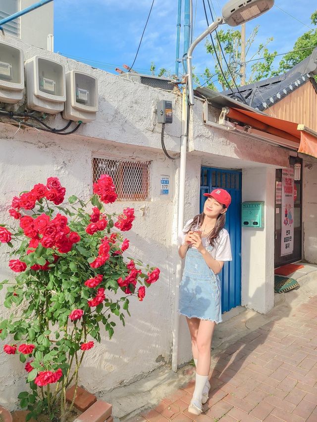 골목골목 예쁜장미담벼락이 한가득♥️