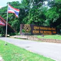 8 things You must Do & See in Khao Yai