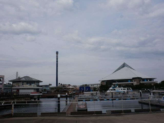親子好去處必去➡️橫濱八景島海島樂園😆😆