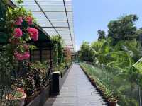 Rooftop garden at Siloso