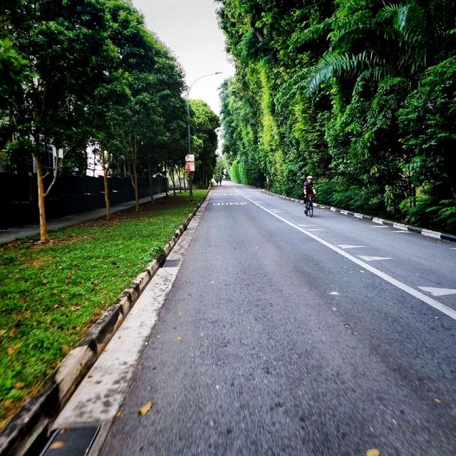 The Highest Peak In Singapore 