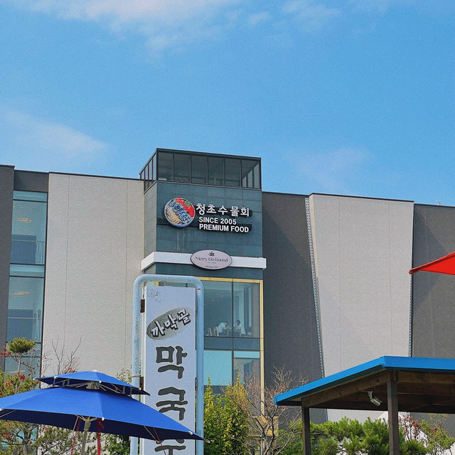 청초수물회 속초 본점 💡 강원도 여행