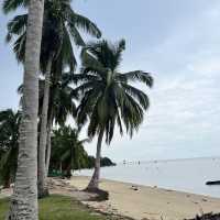Pantai Mas-Mas Vibes
