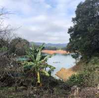 從化嘅溪頭村之旅