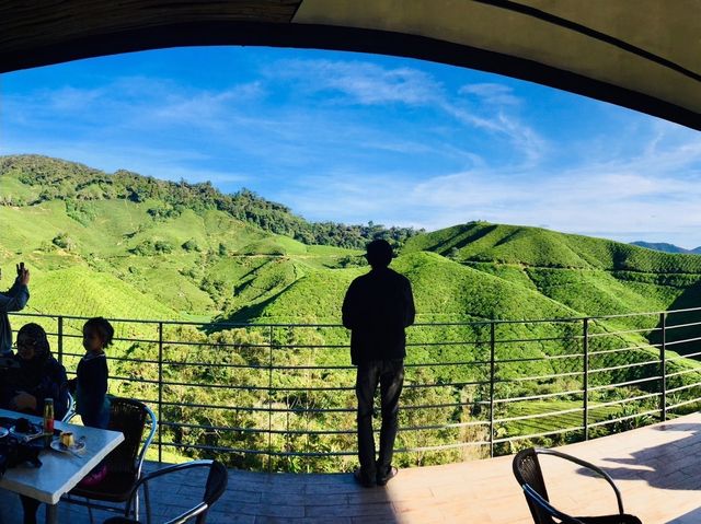 ไร่ชา BOH Tea Plantations คาเมรอนไฮแลนด์