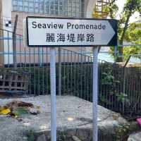 秋日南區海濱🏖️長廊💓黃昏🌆美景💯💯拍拖👫散步之選