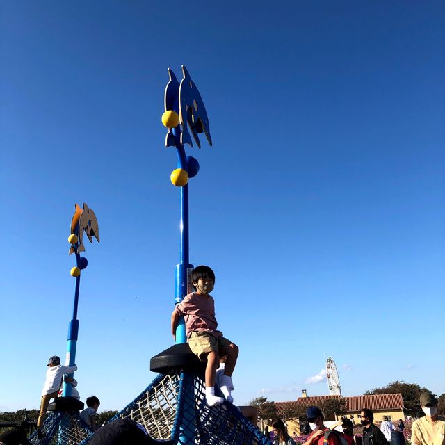 ソレイユの丘で秋を楽しもう🍁🍁🍁