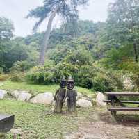 [용문] 볼거리 가득 자연 속 데이트'용문산관광단지'❣️