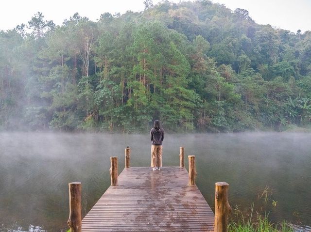 🌿กางเต็นท์นอนใต้ต้นสนที่…ปางอุ๋ง แม่ฮ่องสอน