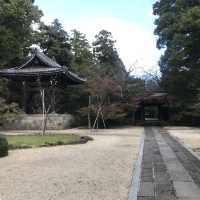 ชมใบไม้เปลี่ยนสีที่วัดtozenji🍁🍁🍁