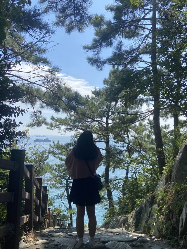 부산을 오롯이 느낄 수 있는 흰여울문화마을🤍🌿