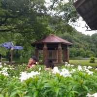 Grounding around recreational park in Ipoh