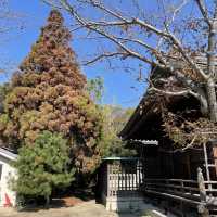 【兵庫県】赤穂岬の守り神「伊和都比売神社」へ