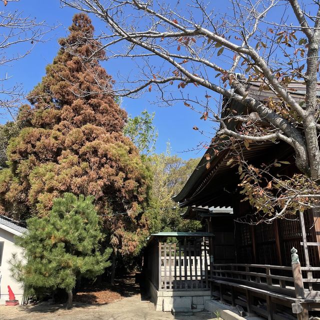【兵庫県】赤穂岬の守り神「伊和都比売神社」へ