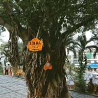 โบราณสถานแปลกตา ที่ไม่เหมือนอยู่ Vietnam 🛕