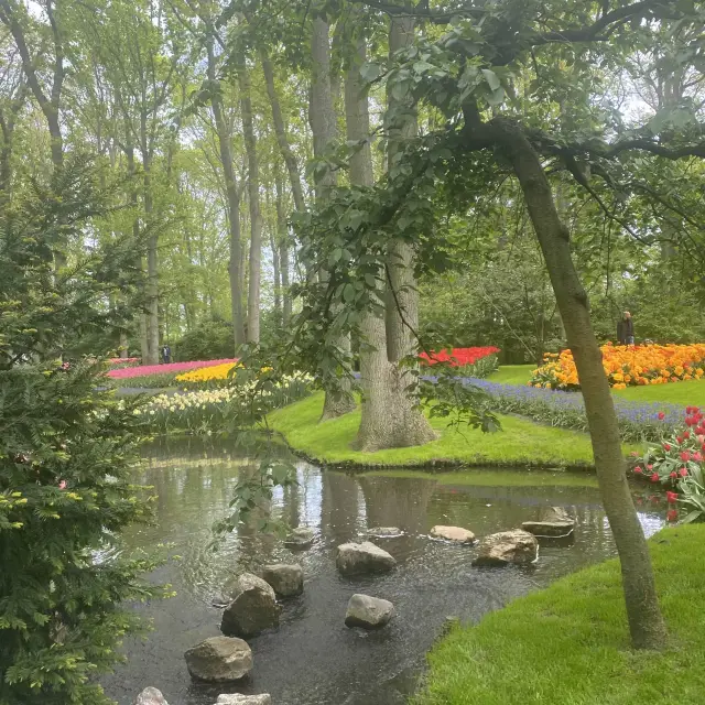 荷蘭庫肯霍夫花園，人間仙境
