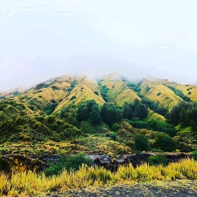 whispering sand @Bromo volcano  2022