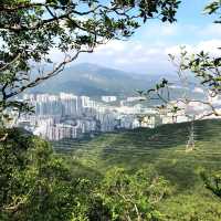 愛女5歲上獅子山頭