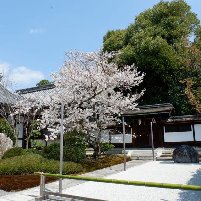 京都｜伏見稻荷大社～走不完的鳥居⛩️