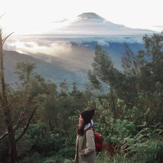 GOLDEN SUNRISE SIKUNIR, WONOSOBO