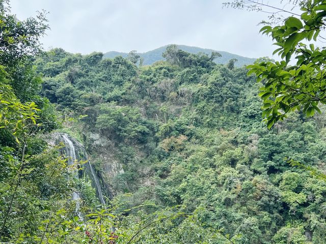 行山新手輕鬆之選 - 坑口至西貢靚景路線分享